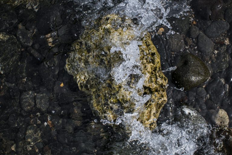 Az amerikai kormány szerint az Anthropic nem megbízható